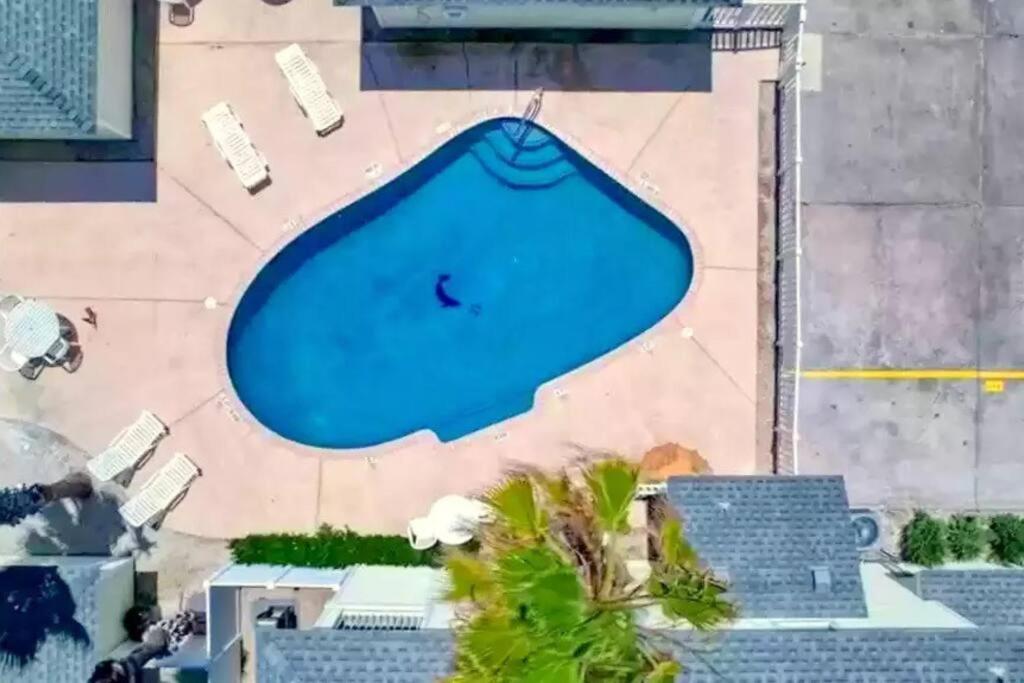 Spacious Home, Short Walk To Beach, Heated Pool! Корпъс Кристи Екстериор снимка